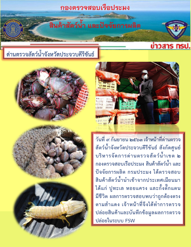 สินค้าสัตว์น้ำนำเข้าจากประเทศเมียนมา