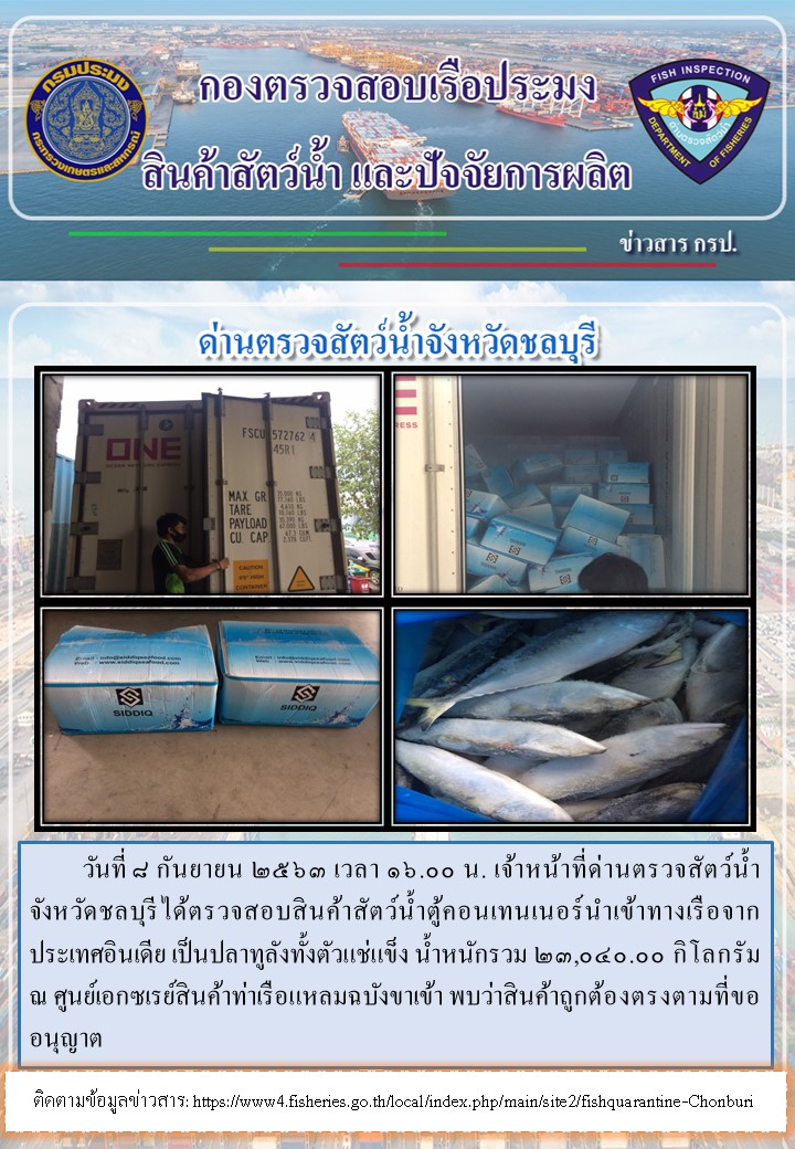 การปฏิบัติงานตรวจสอบสินค้าสัตว์น้ำตู้คอนเทรนเนอร์นำเข้าทางเรือประจำวันที่ 8 กันยายน 2563..คลิก