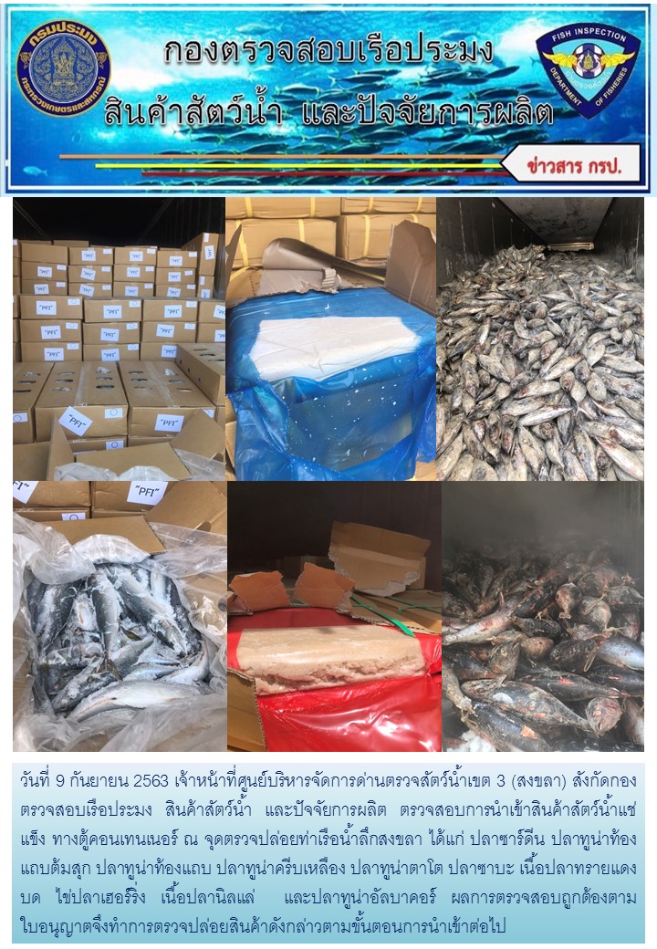 เจ้าหน้าที่ศูนย์บริหารจัดการด่านตรวจสัตว์น้ำเขต 3 (สงขลา) สังกัดกองตรวจสอบเรือประมง สินค้าสัตว์น้ำ และปัจจัยการผลิตตรวจสอบการนำเข้าสินค้าสัตว์น้ำประเภทตู้คอนเทนเนอร์ ณ จุดตรวจปล่อยท่าเรือน้ำลึกสงขลา..คลิก