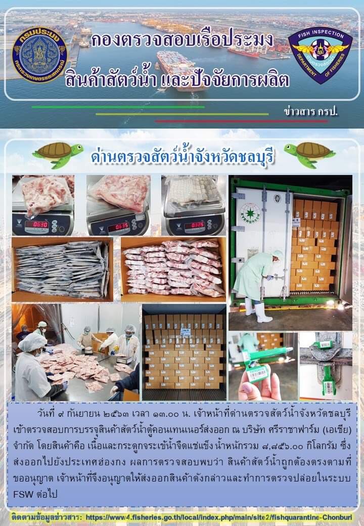 การปฏิบัติงานตรวจสอบสินค้าสัตว์น้ำตู้คอนเทรนเนอร์นำเข้า-ส่งออกทางเรือประจำวันที่ 9 กันยายน 2563..คลิก