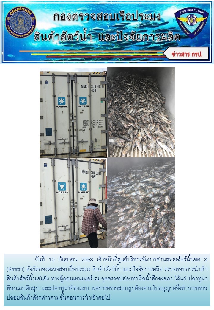 เจ้าหน้าที่ศูนย์บริหารจัดการด่านตรวจสัตว์น้ำเขต 3 (สงขลา)  สังกัดกองตรวจสอบเรือประมง สินค้าสัตว์น้ำ และปัจจัยการผลิต ตรวจสอบการนำเข้าสินค้าสัตว์น้ำประเภทตู้คอนเทนเนอร์ ณ จุดตรวจปล่อยท่าเรือน้ำลึกสงขลา..คลิก
