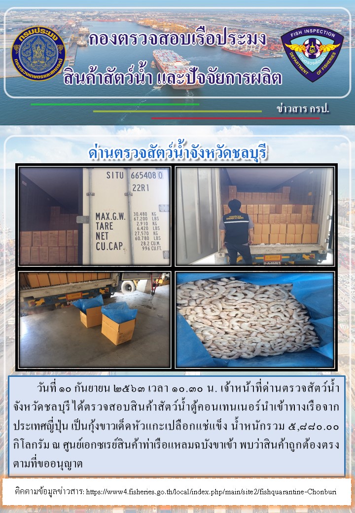 การปฏิบัติงานตรวจสอบสินค้าสัตว์น้ำตู้คอนเทรนเนอร์นำเข้าทางเรือประจำวันที่ 10 กันยายน 2563..คลิก
