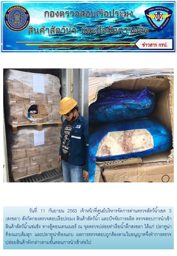 เจ้าหน้าที่ศูนย์บริหารจัดการด่านตรวจสัตว์น้ำเขต 3 (สงขลา) สังกัดกองตรวจสอบเรือประมง สินค้าสัตว์น้ำ และปัจจัยการผลิต ตรวจสอบการนำเข้าสินค้าสัตว์น้ำประเภทตู้คอนเทนเนอร์ ณ จุดตรวจปล่อยท่าเรือน้ำลึกสงขลา..คลิก