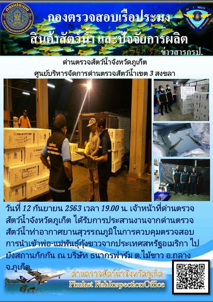 เมื่อวันที่ 12 กันยายน 2563 เจ้าหน้าที่ด่านตรวจสัตว์น้ำจังหวัดภูเก็ตได้รับการประสานงานจากด่านตรวจสัตว์น้ำท่าอากาศยานสุวรรณภูมิให้ทำการควบคุมพ่อแม่พันธุ์กุ้งขาวไปยังสถานกักกัน เพื่อรอผลการตรวจโรคตามระเบียบของกรมประมง..คลิก