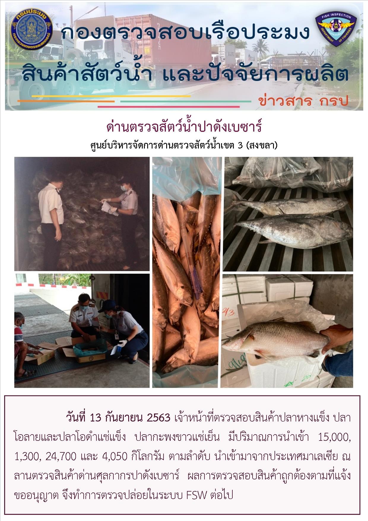 เจ้าหน้าที่ตรวจสอบสินค้าปลาหางแข็ง ปลาโอลายและปลาโอดำแช่แข็ง ปลากะพงขาวแช่เย็น มีปริมาณการนำเข้า 15,000, 1,300, 24,700 และ 4,050 กิโลกรัม ตามลำดับ นำเข้ามาจากประเทศมาเลเซีย..คลิก