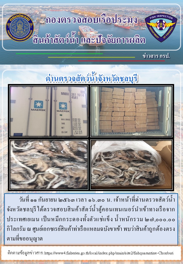 การปฏิบัติงานตรวจสอบสินค้าสัตว์น้ำตู้คอนเทรนเนอร์นำเข้าทางเรือประจำวันที่ 11 กันยายน 2563..คลิก