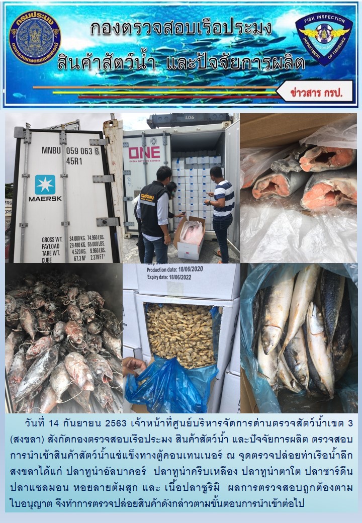 เจ้าหน้าที่ศูนย์บริหารจัดการด่านตรวจสัตว์น้ำเขต 3 (สงขลา) สังกัดกองตรวจสอบเรือประมง สินค้าสัตว์น้ำ และปัจจัยการผลิต ตรวจสอบการนำเข้าสินค้าสัตว์น้ำแช่แข็งทางตู้คอนเทนเนอร์ ณ จุดตรวจปล่อยท่าเรือน้ำลึกสงขลา..คลิก