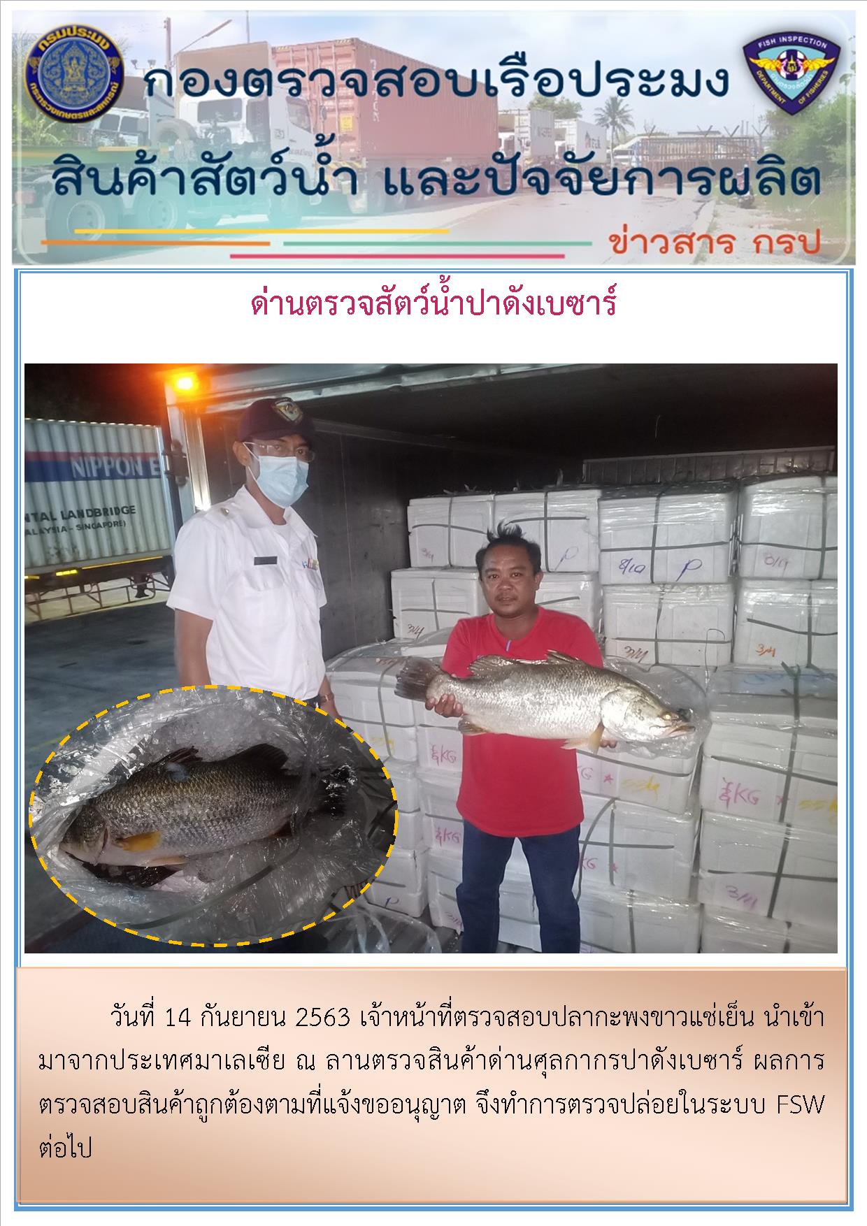 ด่านตรวจสัตว์น้ำปาดังเบซาร์ตรวจสอบสัตว์น้ำนำเข้า..คลิก