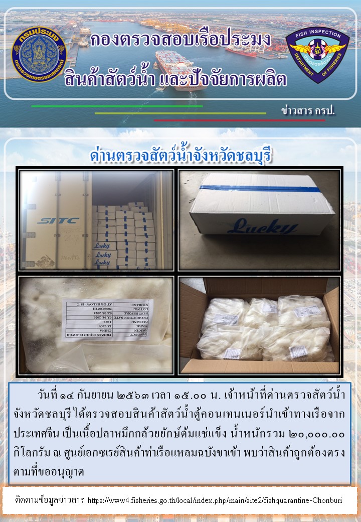 การปฏิบัติงานตรวจสอบสินค้าสัตว์น้ำตู้คอนเทรนเนอร์นำเข้าทางเรือประจำวันที่ 14 กันยายน 2563..คลิก