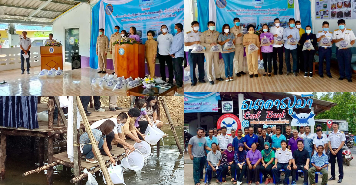 ศพม.ภูเก็ต จัดประชุมการสร้างความเข้มแข็งแก่ชุมชนในการจัดทำธนาคารปูม้า ตำบลคุระ อำเภอคุระบุรี จังหวัดพังงา