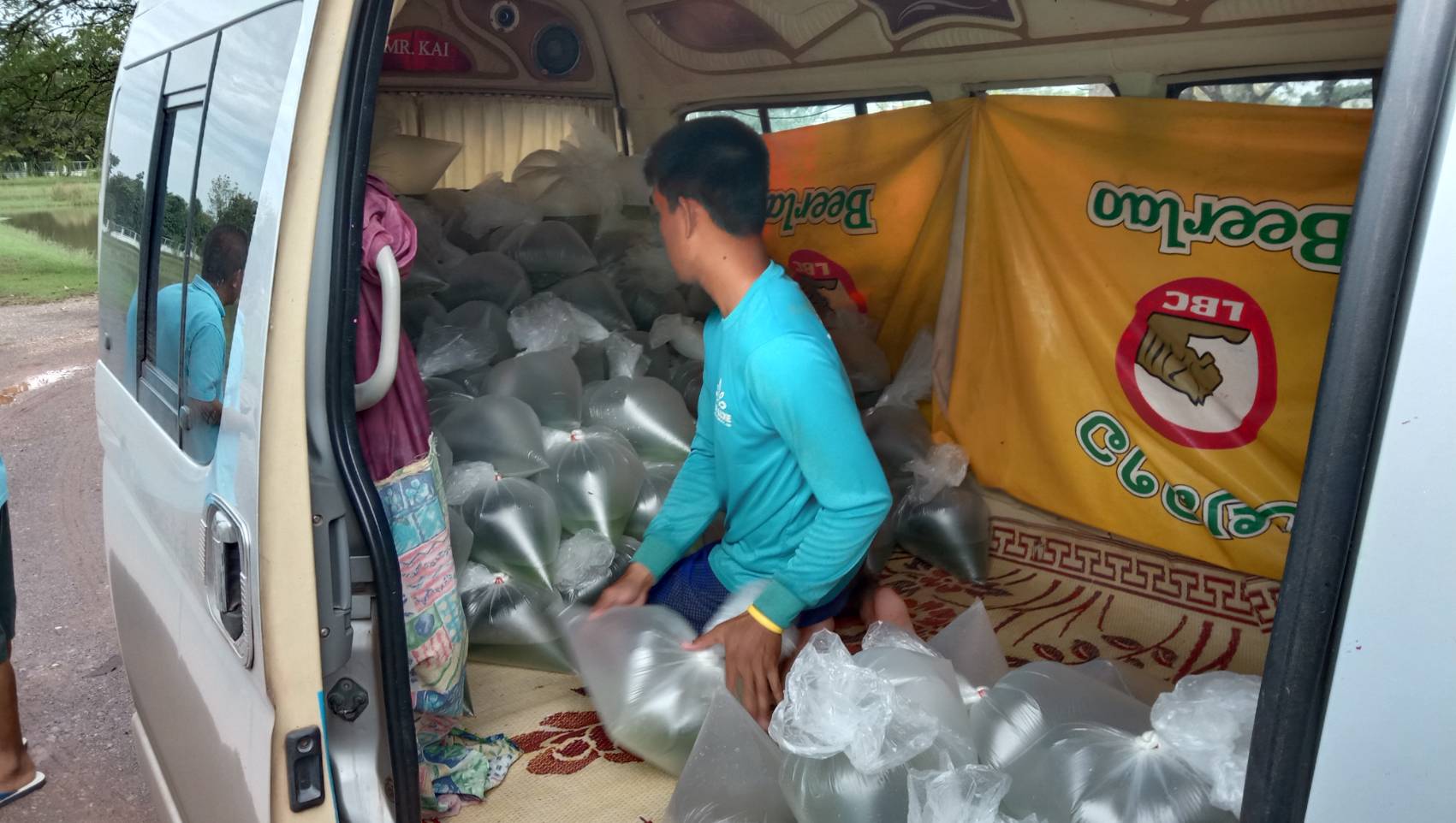 ตรวจสอบลูกพันธุ์สัตว์น้ำ ส่งออกไปยัง สปป.ลาว..คลิก