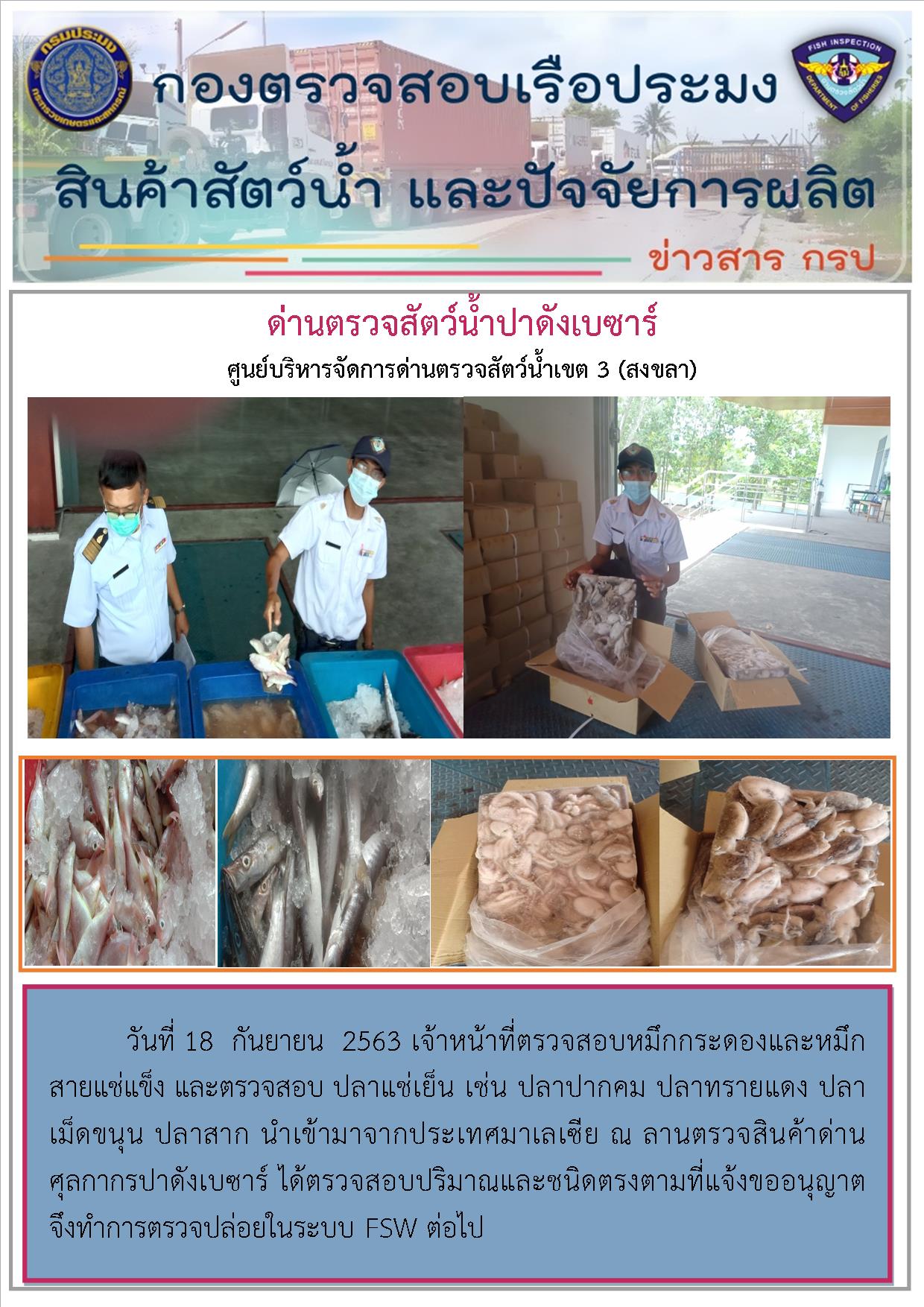 ด่านตรวจสัตว์น้ำปาดังเบซาร์ตรวจสอบสัตว์น้ำนำเข้า..คลิก
