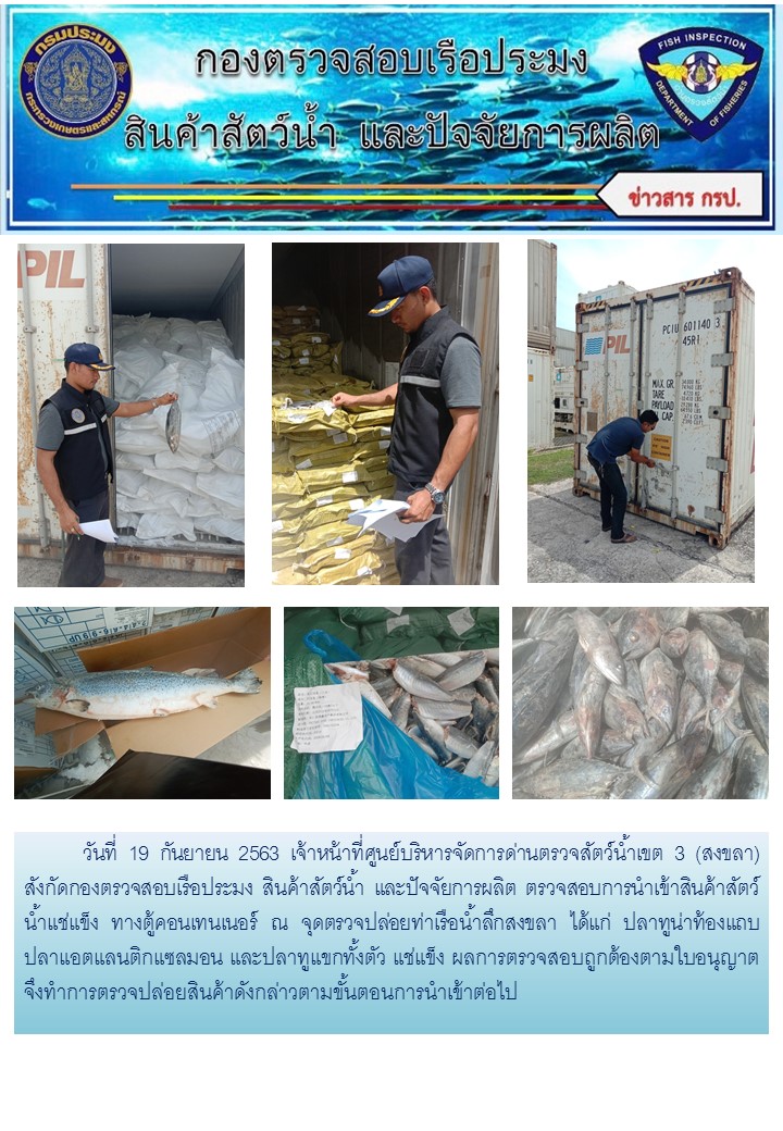 เจ้าหน้าที่ศูนย์บริหารจัดการด่านตรวจสัตว์น้ำเขต 3 (สงขลา) สังกัดกองตรวจสอบเรือประมง สินค้าสัตว์น้ำ และปัจจัยการผลิต ตรวจสอบการนำเข้าสินค้าสัตว์น้ำประเภทตู้คอนเทนเนอร์ ณ จุดตรวจปล่อยท่าเรือน้ำลึกสงขลา..คลิก