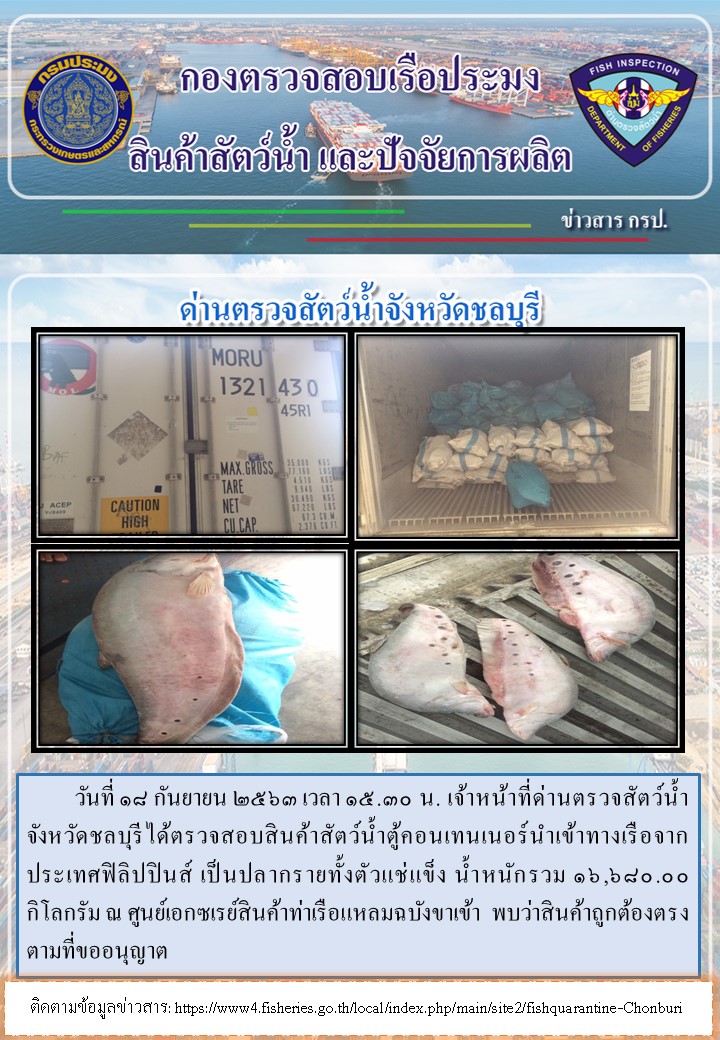 การปฏิบัติงานตรวจสอบสินค้าสัตว์น้ำตู้คอนเทรนเนอร์นำเข้าทางเรือประจำวันที่ 18 กันยายน 2563..คลิก