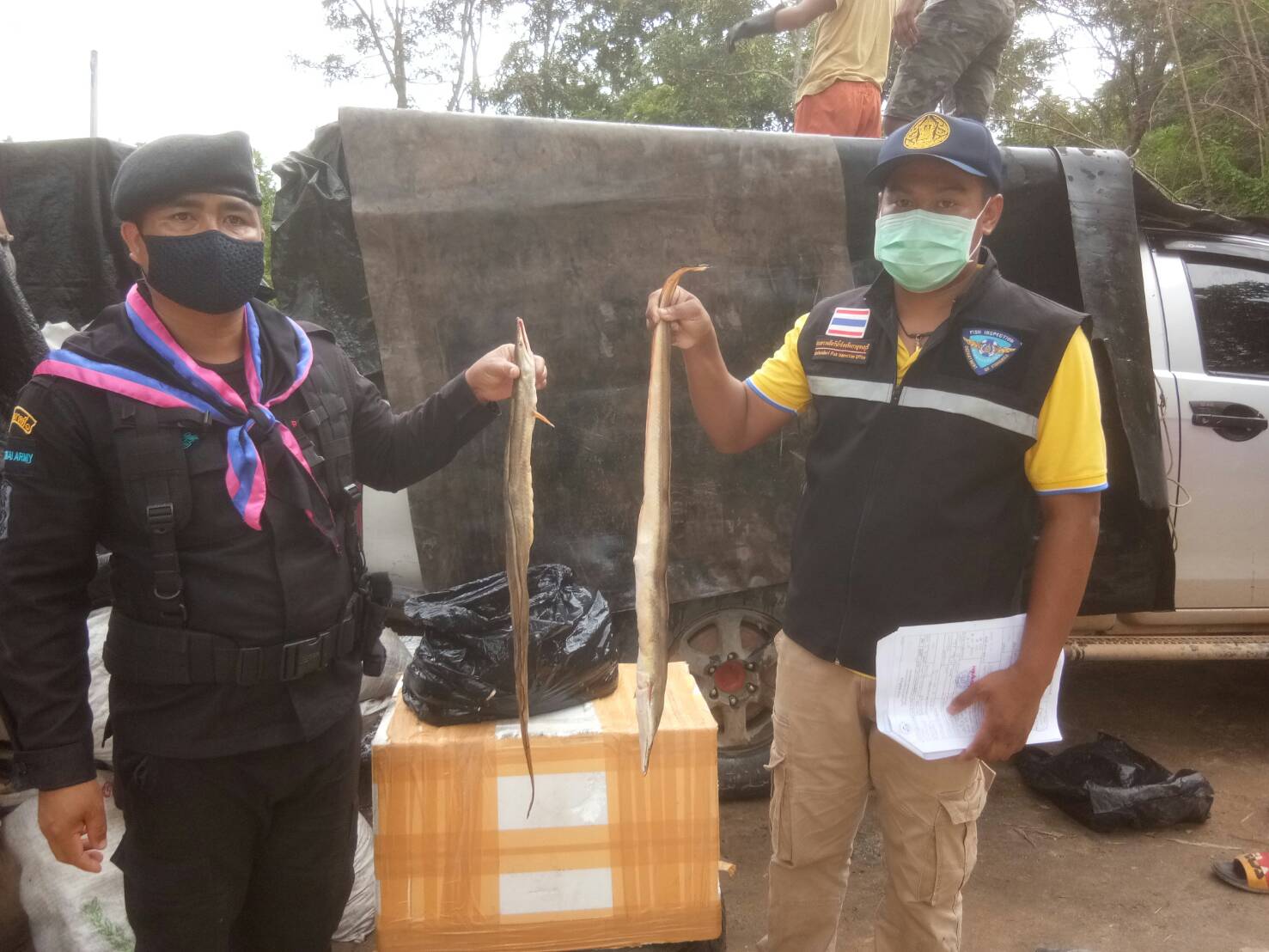 เจ้าหน้าที่ด่านตรวจสัตว์น้ำจังหวัดกาญจนบุรี บูรณาการร่วมกับ กองร้อยทหารพรานที่1111 ตรวจสอบสินค้าสัตว์น้ำและเอกสารการนำเข้า ปูทะเลมีชีวิต หมึกกล้วยแช่แข็ง หมึกกล้วยแช่เย็น ปลายอดจากแช่เย็น ปลาดาบลาวแช่เย็น และสัตว์น้ำอื่นๆ จากประเทศเมียนมา ผ่านทางช่องทางจุดผ่านแดนถาวรบ้านพุน้ำร้อน..คลิก