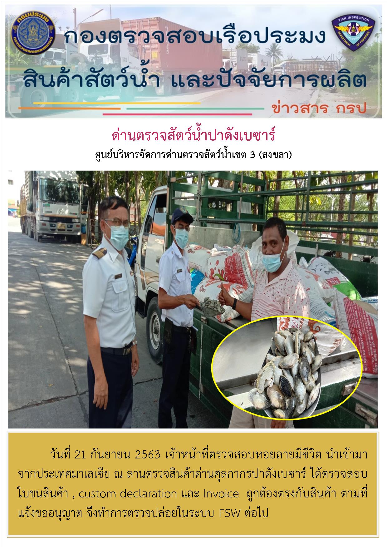 ด่านตรวจสัตว์น้ำปาดังเบซาร์ตรวจสอบสัตว์น้ำนำเข้า..คลิก