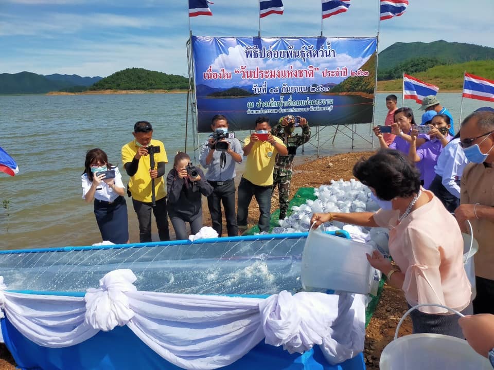 ปล่อยปลาวันประมงแห่งชาติ เพชรบุรี..คลิก