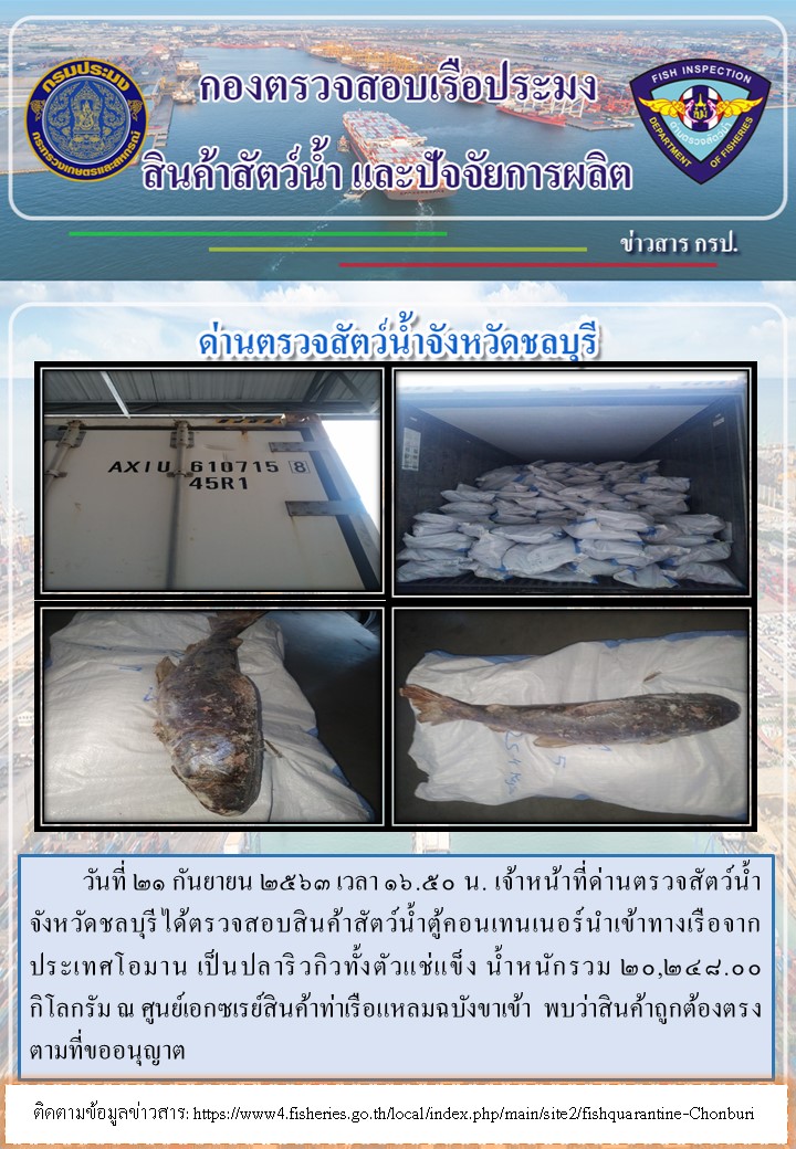 การปฏิบัติงานตรวจสอบสินค้าสัตว์น้ำตู้คอนเทรนเนอร์นำเข้าทางเรือประจำวันที่ 21 กันยายน 2563..คลิก