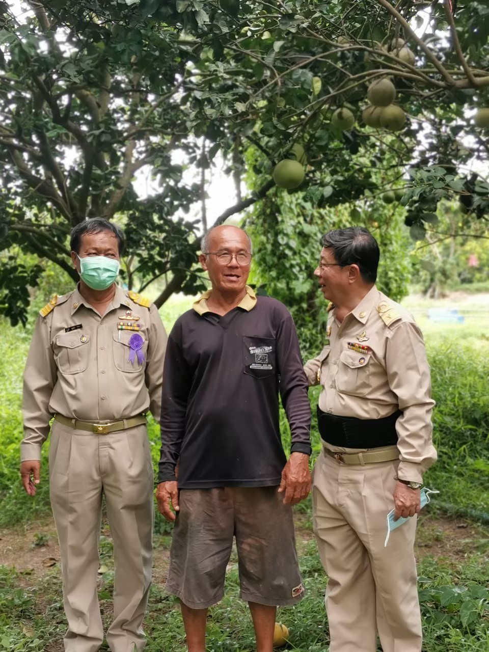 การเพาะพันธุ์ปลานิล หรือ ปลาทับทิมฝากลูกในกระชัง โดยวิธีธรรมชาติ..คลิก