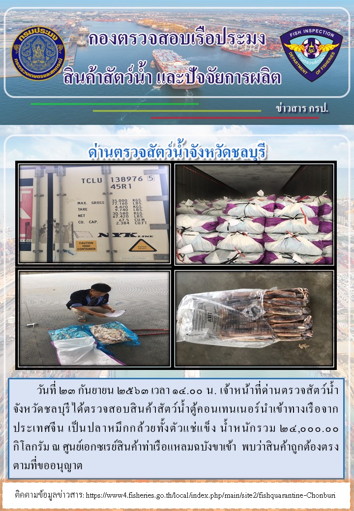การปฏิบัติงานตรวจสอบสินค้าสัตว์น้ำตู้คอนเทรนเนอร์นำเข้าทางเรือประจำวันที่ 23 กันยายน 2563..คลิก