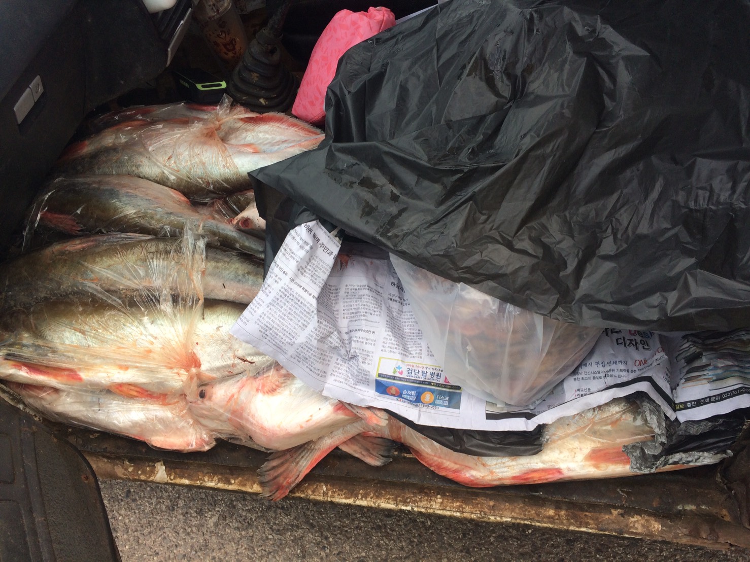 ตรวจสอบสัตว์น้ำ ส่งออกไปยัง สปป.ลาว..คลิก