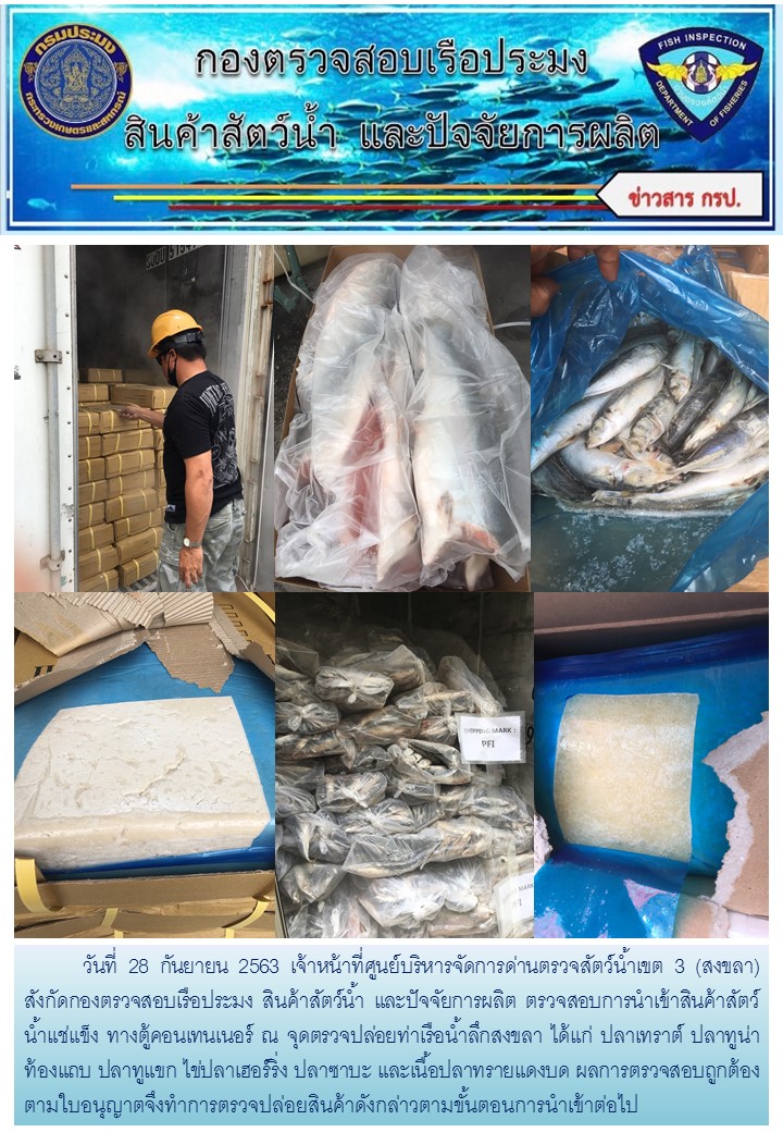 เจ้าหน้าที่ศูนย์บริหารจัดการด่านตรวจสัตว์น้ำเขต 3 (สงขลา) สังกัดกองตรวจสอบเรือประมง สินค้าสัตว์น้ำ และปัจจัยการผลิต  ตรวจสอบการนำเข้าสินค้าสัตว์น้ำประเภทตู้คอนเทนเนอร์ ณ จุดตรวจปล่อยท่าเรือน้ำลึกสงขลา..คลิก