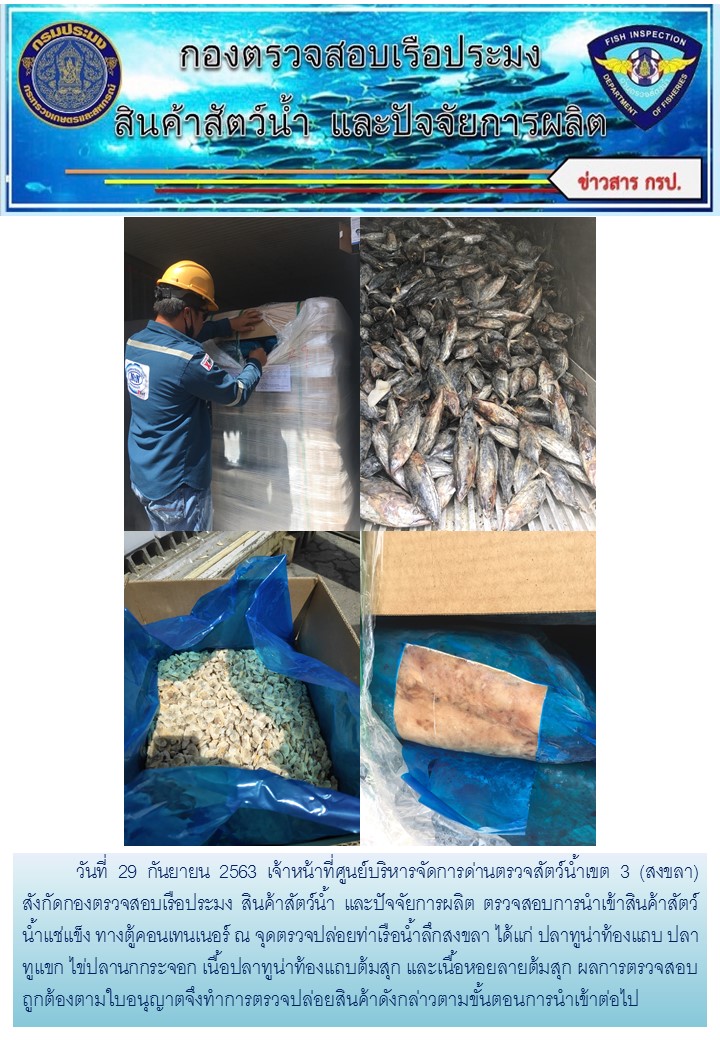 เจ้าหน้าที่ศูนย์บริหารจัดการด่านตรวจสัตว์น้ำเขต 3 (สงขลา) สังกัดกองตรวจสอบเรือประมง สินค้าสัตว์น้ำ และปัจจัยการผลิต ตรวจสอบการนำเข้าสินค้าสัตว์น้ำประเภทตู้คอนเทนเนอร์ ณ จุดตรวจปล่อยท่าเรือน้ำลึกสงขลา..คลิก