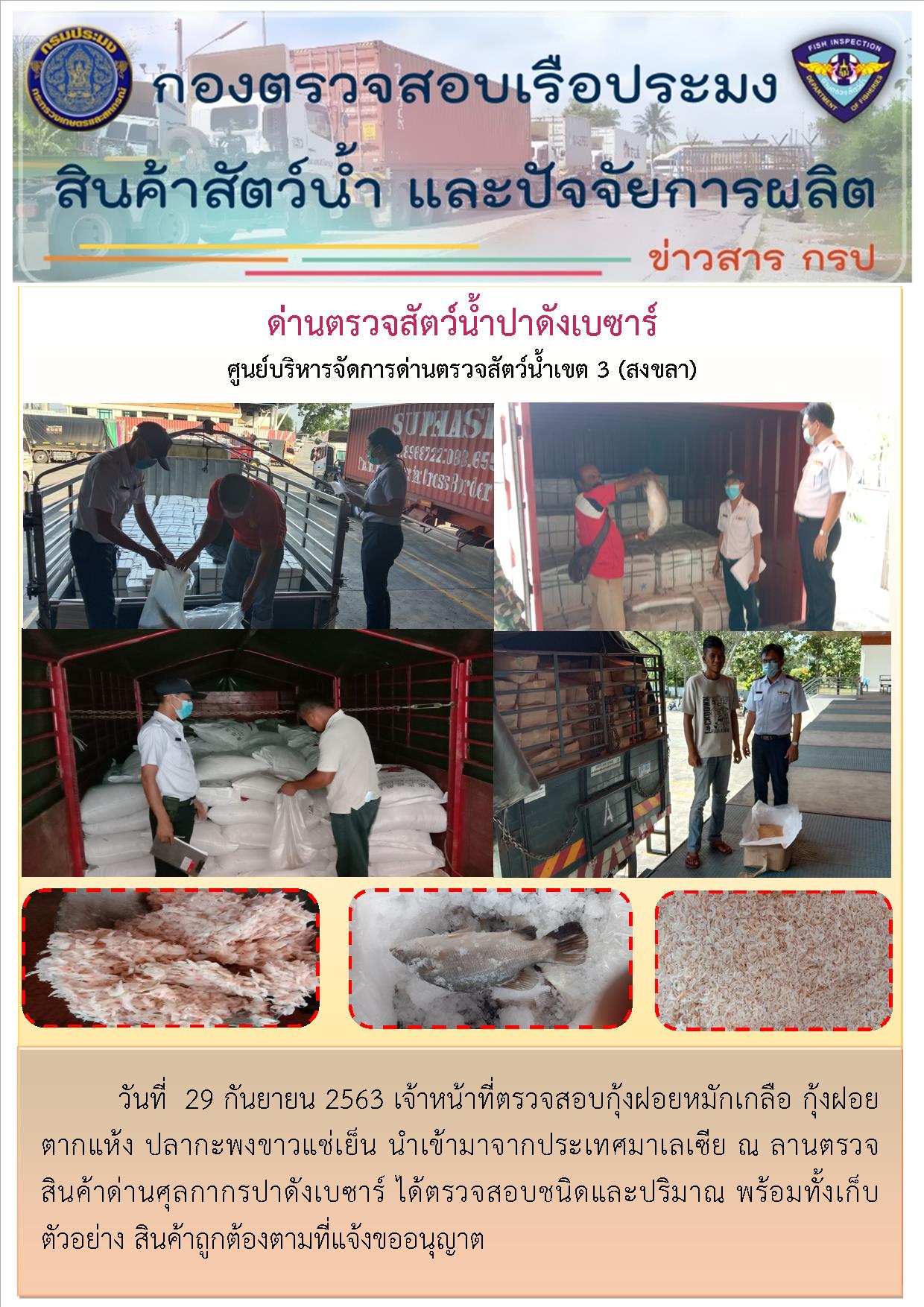 ด่านตรวจสัตว์น้ำปาดังเบซาร์ตรวจสอบสัตว์น้ำนำเข้า..คลิก