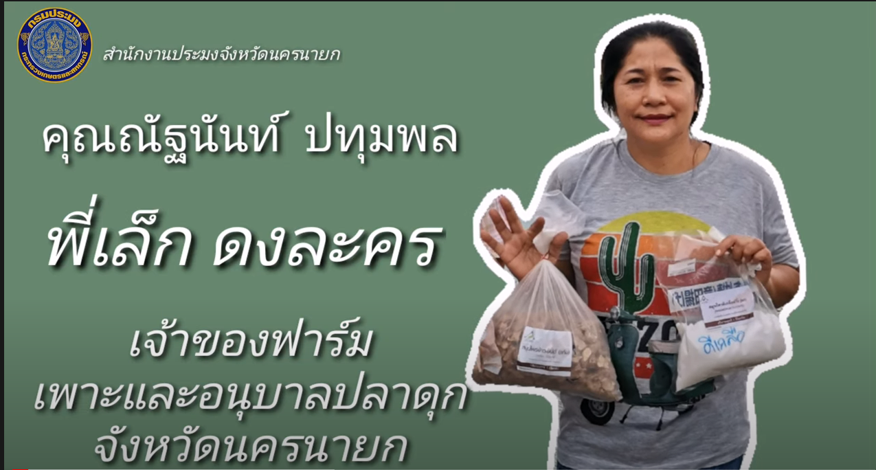 สมุนไพรไทย ข้าวเย็นเหนือ ข้าวเย็นใต้..คลิก