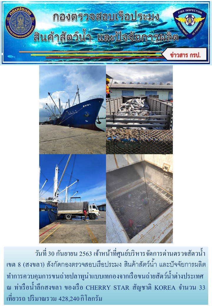 วันที่ 30 กันยายน 2563 เจ้าหน้าที่ศูนย์บริหารจัดการด่านตรวจสัตวน้ำ เขต 8 (สงขลา) สังกัดกองตรวจสอบเรือประมง สินค้าสัตว์น้ำ และปัจจัยการผลิตทำการควบคุมการขนถ่ายปลาทูน่าแบบเทกองจากเรือขนถ่ายสัตว์น้ำต่างประเทศ ณ ท่าเรือน้ำลึกสงขลา ของเรือ CHERRY STAR สัญชาติ KOREA..คลิก