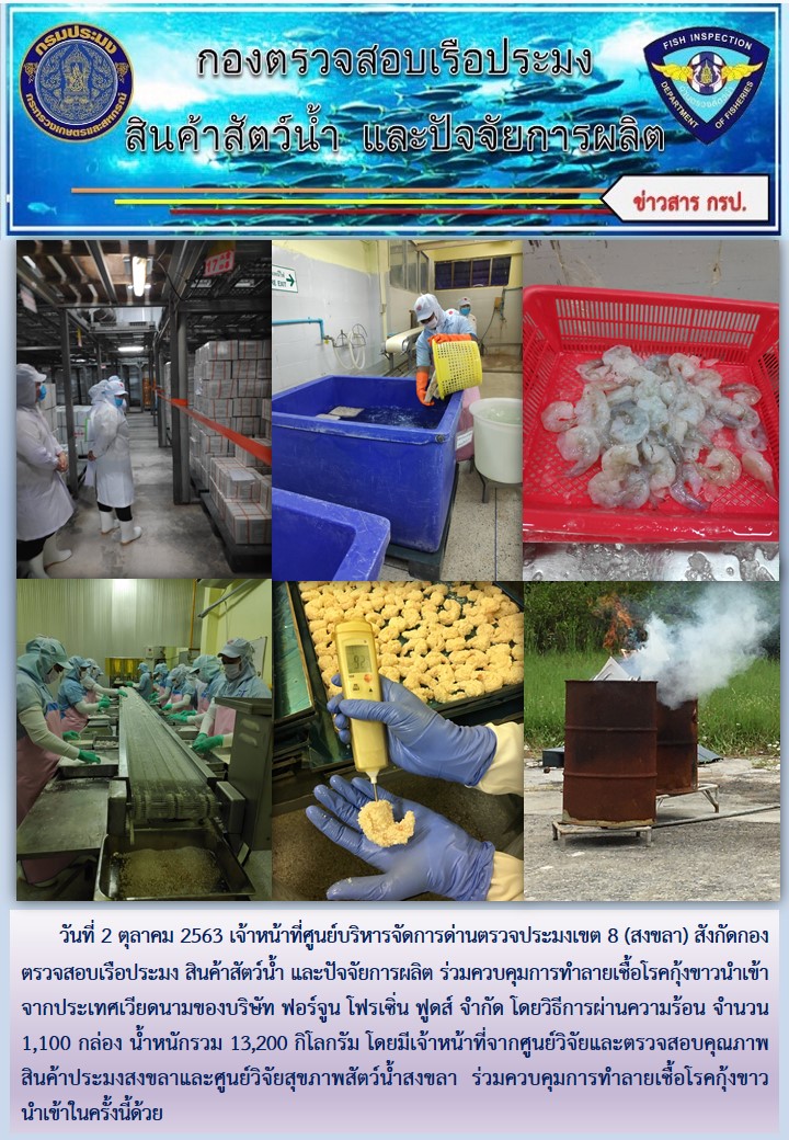 เจ้าหน้าที่ศูนย์บริหารจัดการด่านตรวจประมงเขต 8 (สงขลา) สังกัดกองตรวจสอบเรือประมง สินค้าสัตว์น้ำ และปัจจัยการผลิต ร่วมควบคุมการทำลายเชื้อโรคกุ้งขาวนำเข้าจากประเทศเวียดนามของบริษัท ฟอร์จูน โฟรเซิ่น ฟูดส์ จำกัด..คลิก