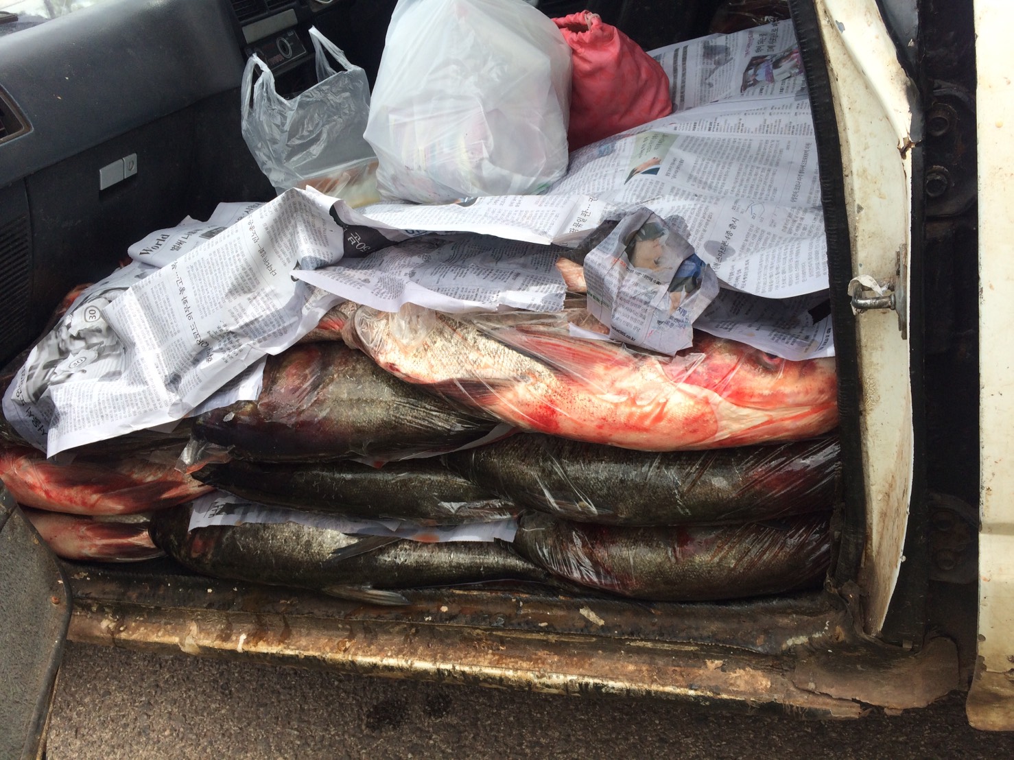 ตรวจสอบสัตว์น้ำ ส่งออกไปยัง สปป.ลาว..คลิก