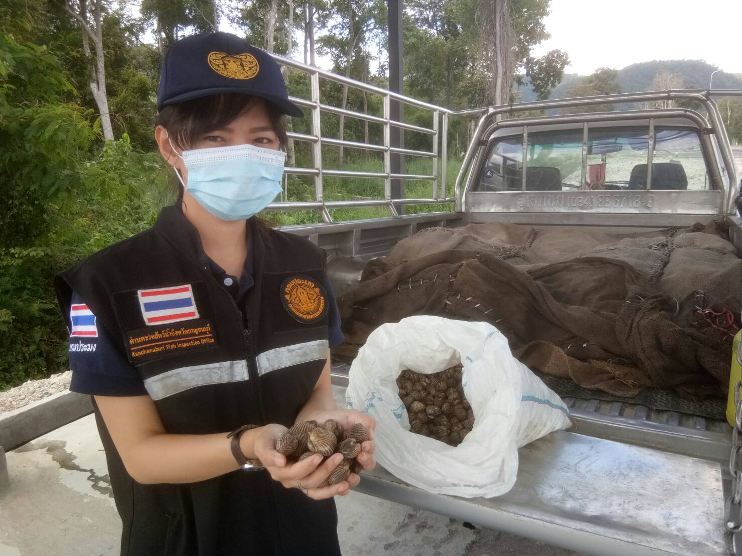 เจ้าหน้าที่ด่านตรวจประมงกาญจนบุรี ตรวจสอบสินค้าสัตว์น้ำและเอกสารการนำเข้า ปูทะเลมีชีวิต หอยแครงมีชีวิต หมึกล้วยแช่เย็น ปูม้าแช่เย็น และสัตว์น้ำอื่นๆ จากประเทศเมียนมา ผ่านทางช่องทางจุดผ่านแดนถาวรบ้านพุน้ำร้อน..คลิก