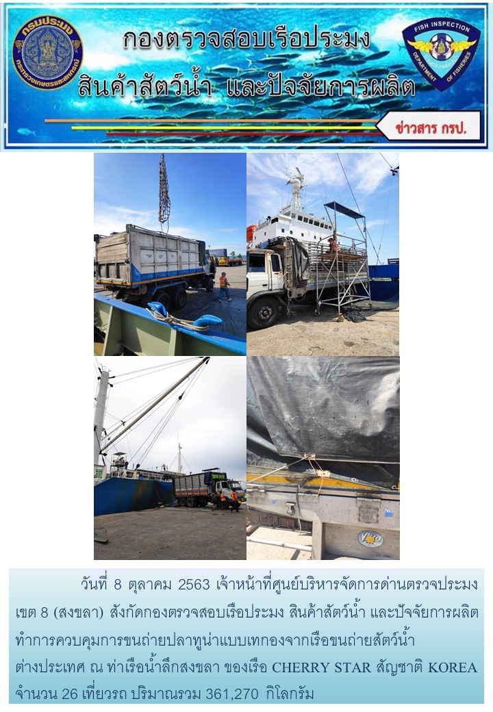 วันที่ 8 ตุลาคม 2563 เจ้าหน้าที่ศูนย์บริหารจัดการด่านตรวจประมง เขต 8 (สงขลา) สังกัดกองตรวจสอบเรือประมง สินค้าสัตว์น้ำ และปัจจัยการผลิตทำการควบคุมการขนถ่ายปลาทูน่าแบบเทกองจากเรือขนถ่ายสัตว์น้ำต่างประเทศ ณ ท่าเรือน้ำลึกสงขลา ของเรือ CHERRY STAR สัญชาติ KOREA..คลิก