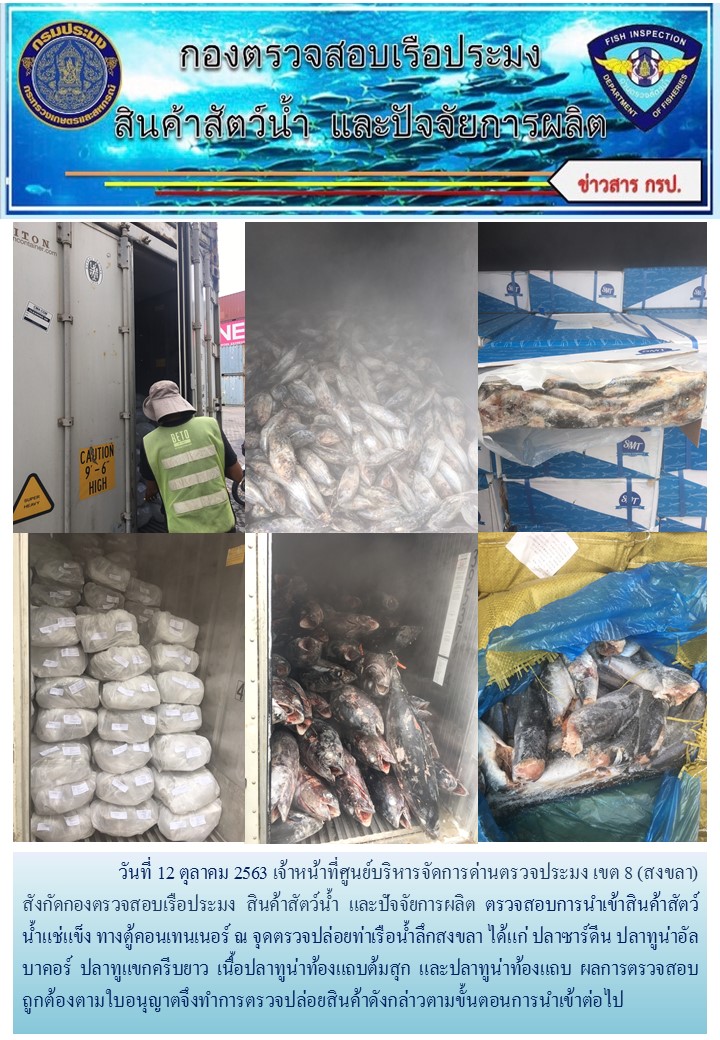 เจ้าหน้าที่ศูนย์บริหารจัดการด่านตรวจประมง เขต 8 (สงขลา) สังกัดกองตรวจสอบเรือประมง สินค้าสัตว์น้ำ และปัจจัยการผลิต  ตรวจสอบการนำเข้าสินค้าสัตว์น้ำประเภทตู้คอนเทนเนอร์ ณ จุดตรวจปล่อยท่าเรือน้ำลึกสงขลา..คลิก