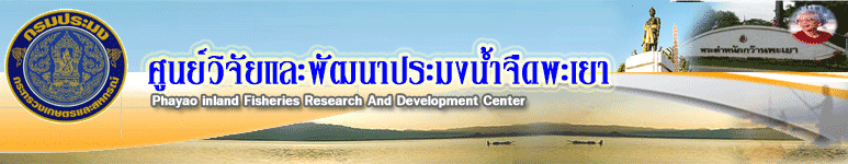 แบนเนอร์1