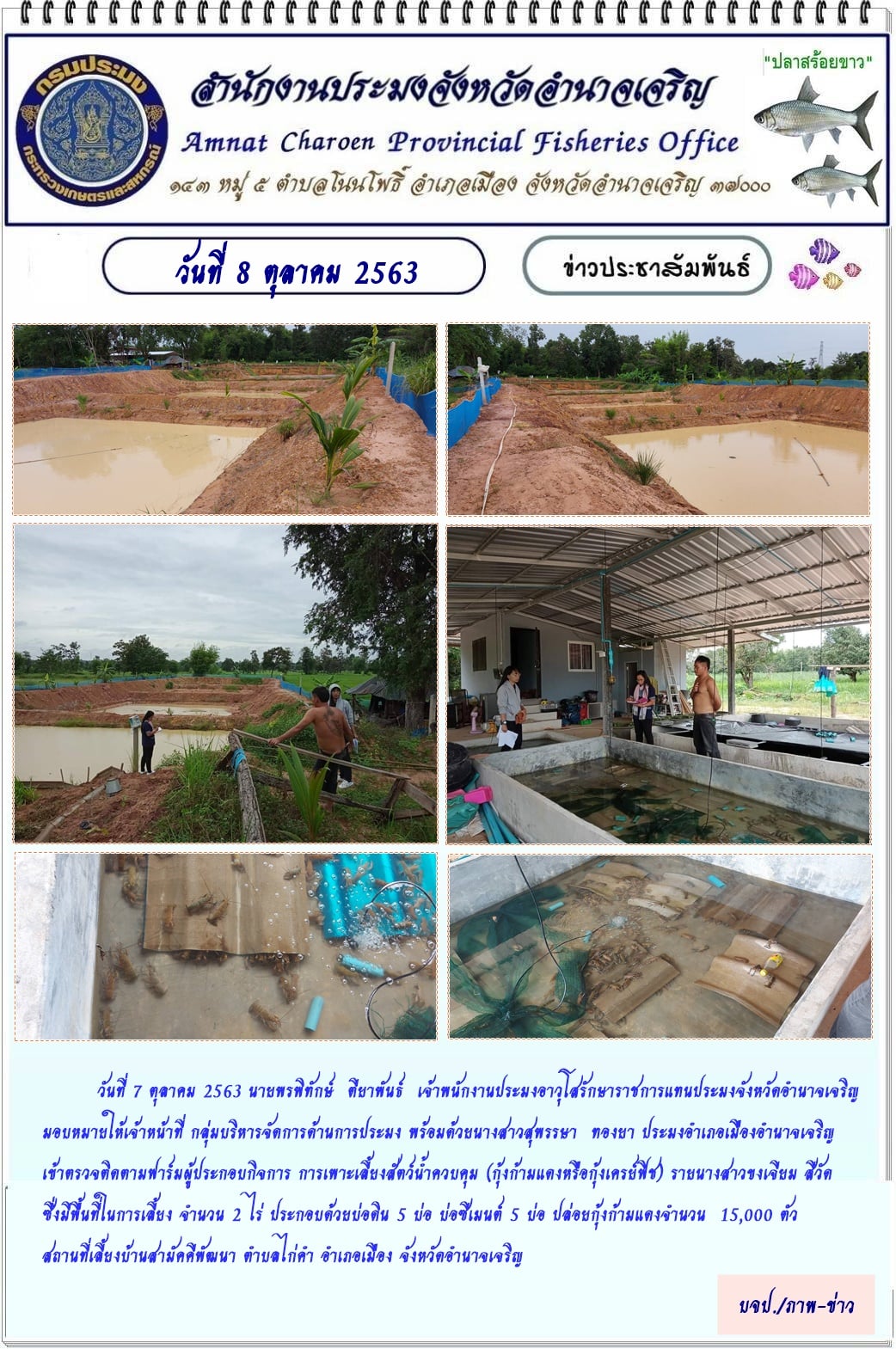 ออกตรวจสอบเกษตรกรผู้เพาะเลี้ยงสัตว์น้ำควบคุม (กุ้งก้ามแดง)..คลิก