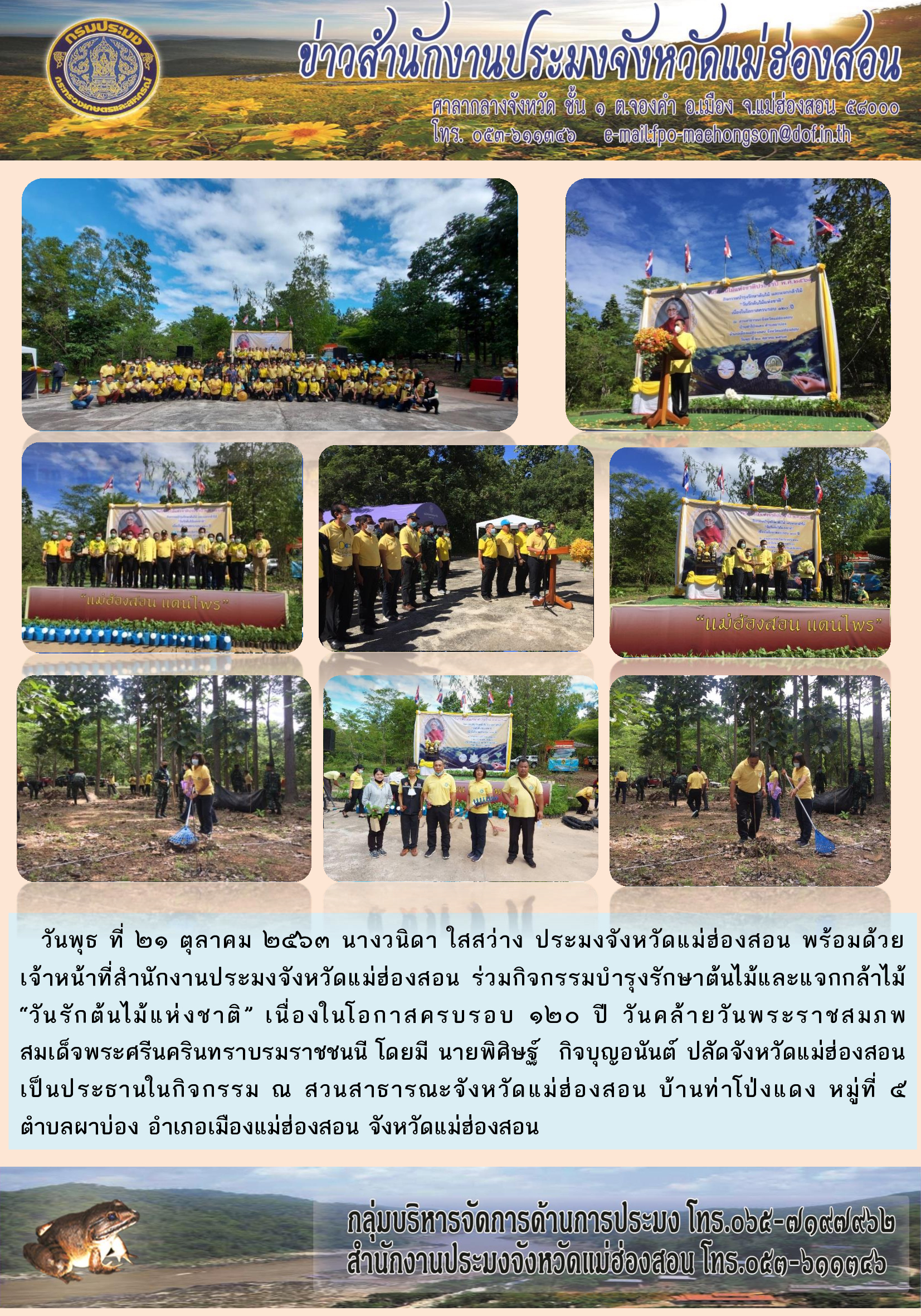 กิจกรรมบำรุงรักษาต้นไม้และแจกกล้าไม้ 