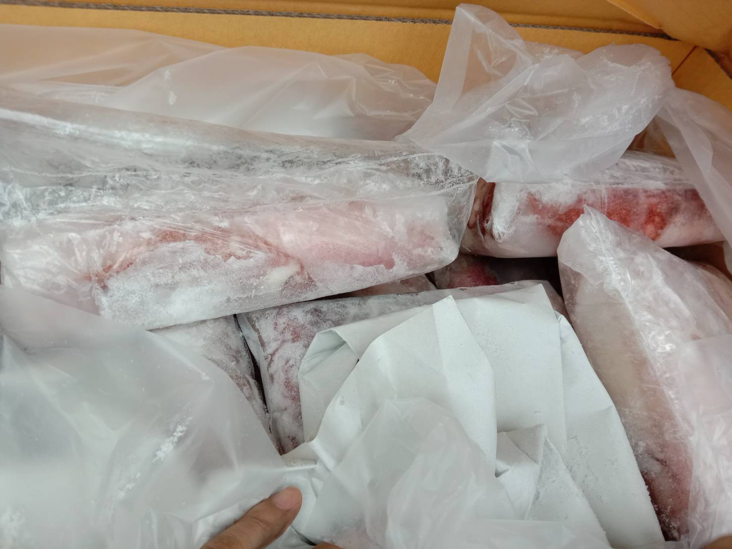 ตรวจสอบสัตว์น้ำ ส่งออกไปยัง สปป.ลาว..คลิก