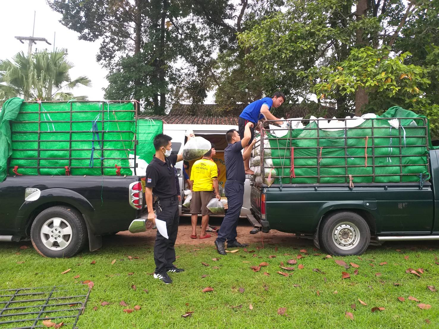 ตรวจสอบลูกพันธุ์สัตว์น้ำ ส่งออกไปยัง สปป.ลาว..คลิก