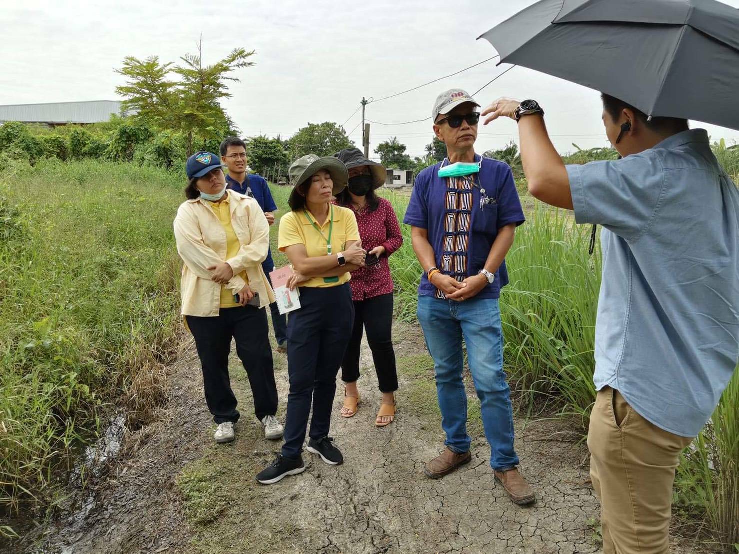 (อ.บางกรวย) โครงการ 1 ตำบล 1 กลุ่มเกษตรทฤษฎีใหม่ (ระยะที่ 3) @ต.ศาลากลาง อ.บางกรวย จ.นนทบุรี..คลิก