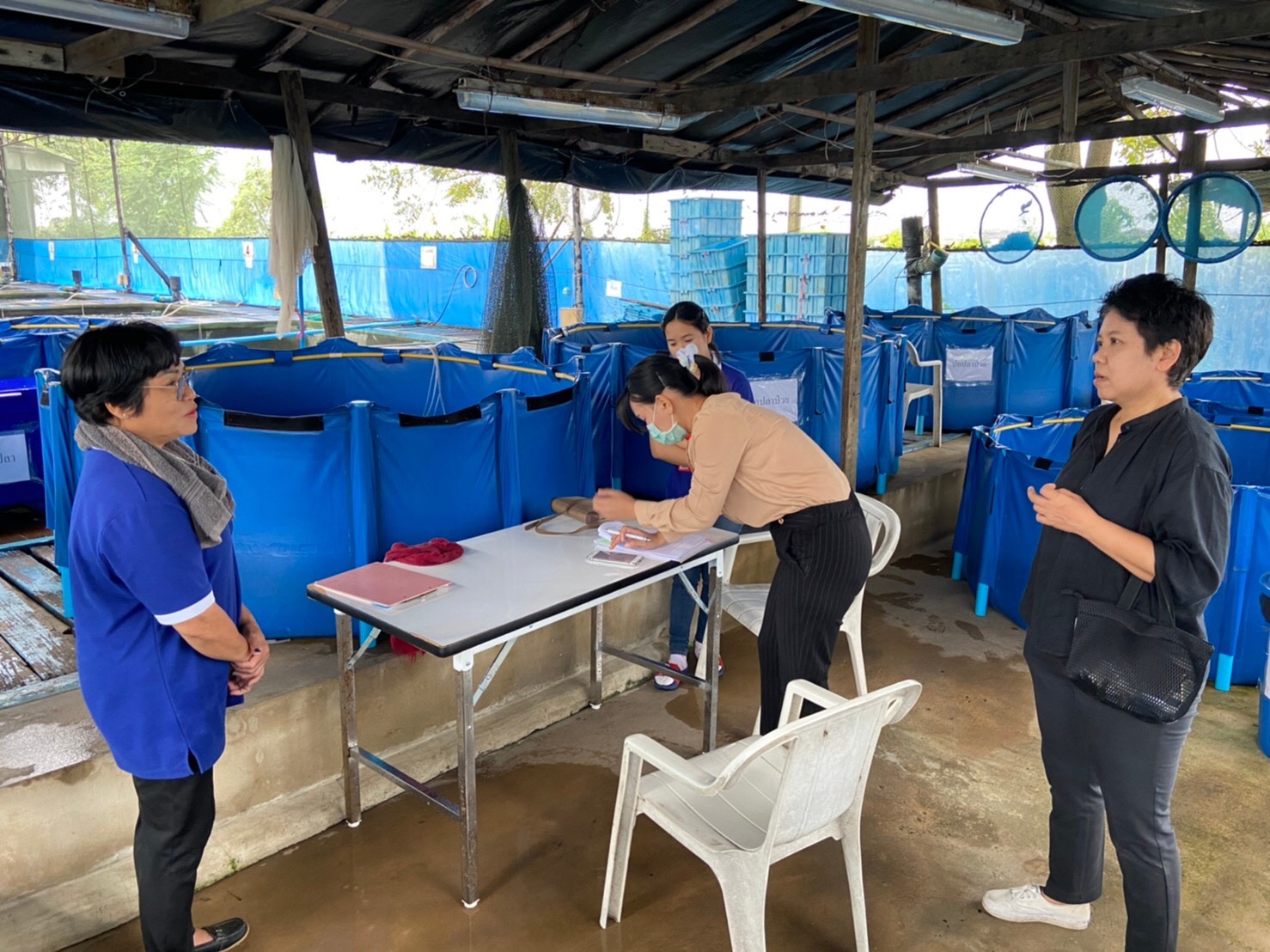 สำนักงานประมงพื้นที่กรุงเทพมหานคร ลงพื้นที่ตรวจประเมิน สถานกักกันสัตว์น้ำประจำปี 2563 ในพื้นที่ เขตคลองสามวา กรุงเทพมหานคร..คลิก