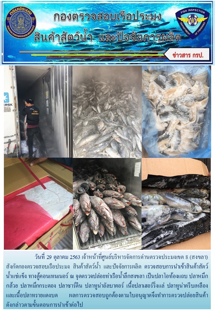 เจ้าหน้าที่ศูนย์บริหารจัดการด่านตรวจประมงเขต 8 (สงขลา) สังกัดกองตรวจสอบเรือประมง สินค้าสัตว์น้ำ และปัจจัยการผลิต ตรวจสอบการนำเข้าสินค้าสัตว์น้ำประเภทตู้คอนเทนเนอร์ ณ จุดตรวจปล่อยท่าเรือน้ำลึกสงขลา..คลิก