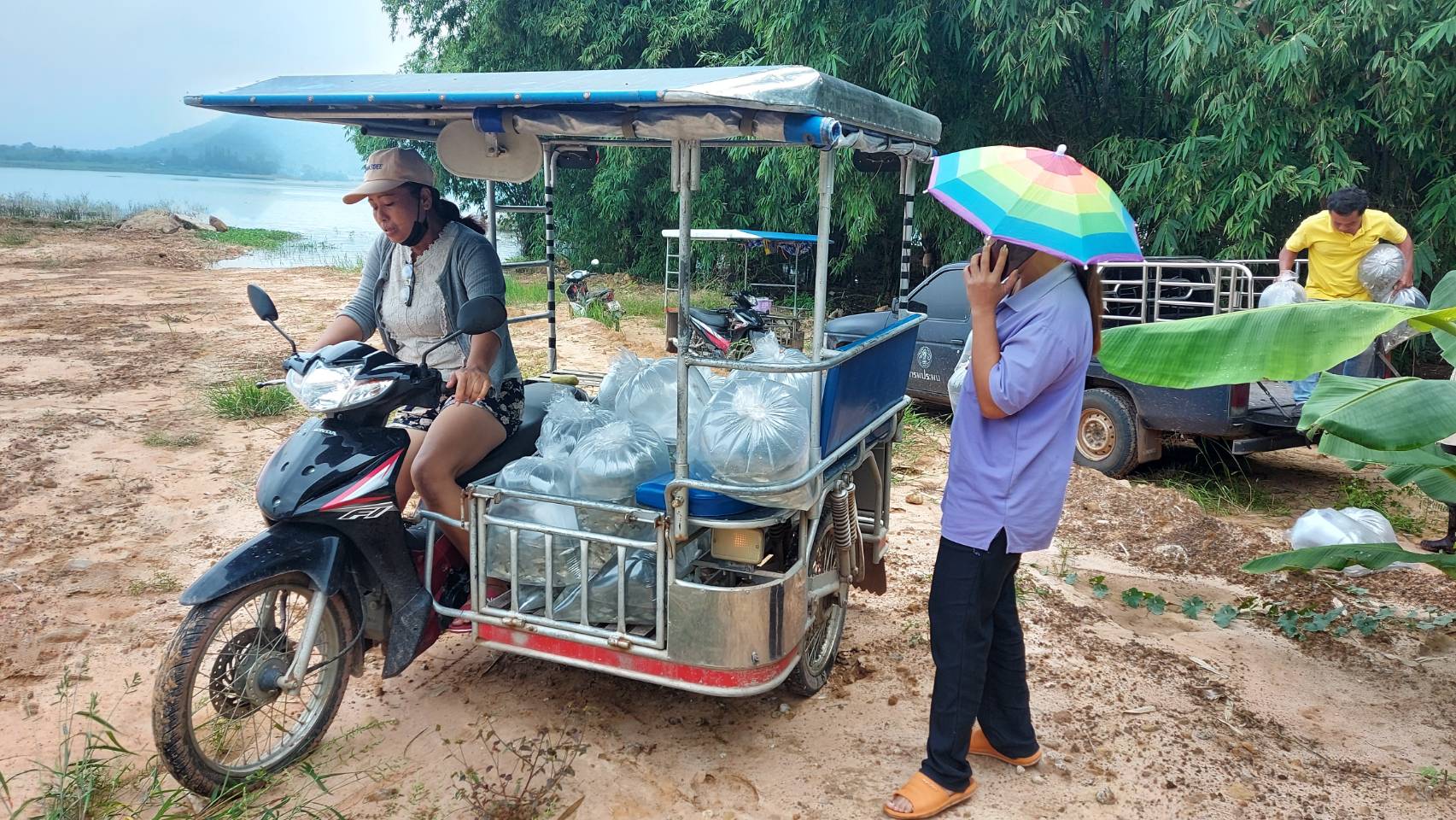 นำพันธุ์ปลาตะเพียนปล่อยแหล่งน้ำโครงการส่วนพระองค์ในพระดำริ พระเจ้าหลานเธอ พระองค์เจ้าพัชรกิติยาภา เศรษฐกิจพอเพียง บ้านใหม่สันติ..คลิก
