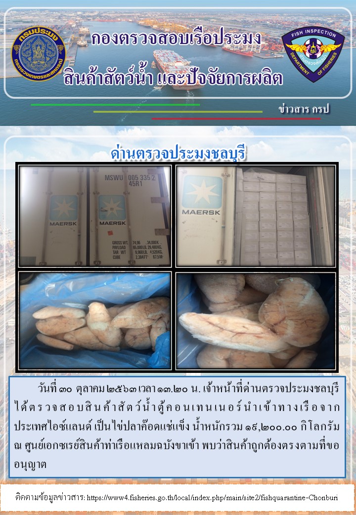 การปฏิบัติงานตรวจสอบสินค้าสัตว์น้ำตู้คอนเทรนเนอร์นำเข้าทางเรือประจำวันที่ 30 ตุลาคม 2563..คลิก