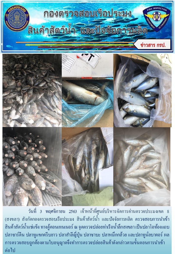 เจ้าหน้าที่ศูนย์บริหารจัดการด่านตรวจประมงเขต 8 (สงขลา) สังกัดกองตรวจสอบเรือประมง สินค้าสัตว์น้ำ และปัจจัยการผลิต  ตรวจสอบการนำเข้าสินค้าสัตว์น้ำประเภทตู้คอนเทนเนอร์ ณ จุดตรวจปล่อยท่าเรือน้ำลึกสงขลา..คลิก