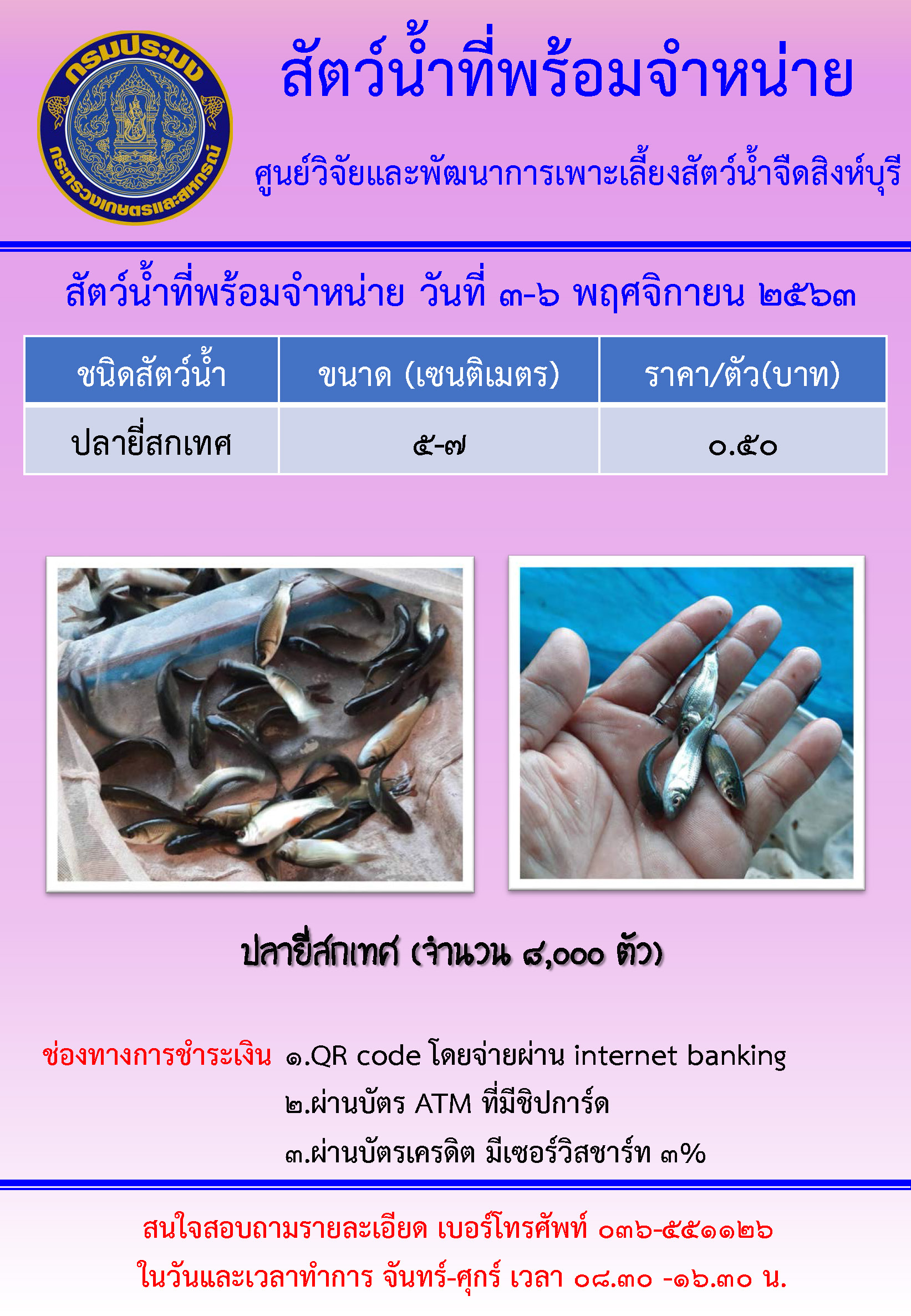 สัตว์น้ำพร้อมจำหน่าย ระหว่างวันที่ 3-6 พฤศจิกายน พ.ศ. 2563..คลิก