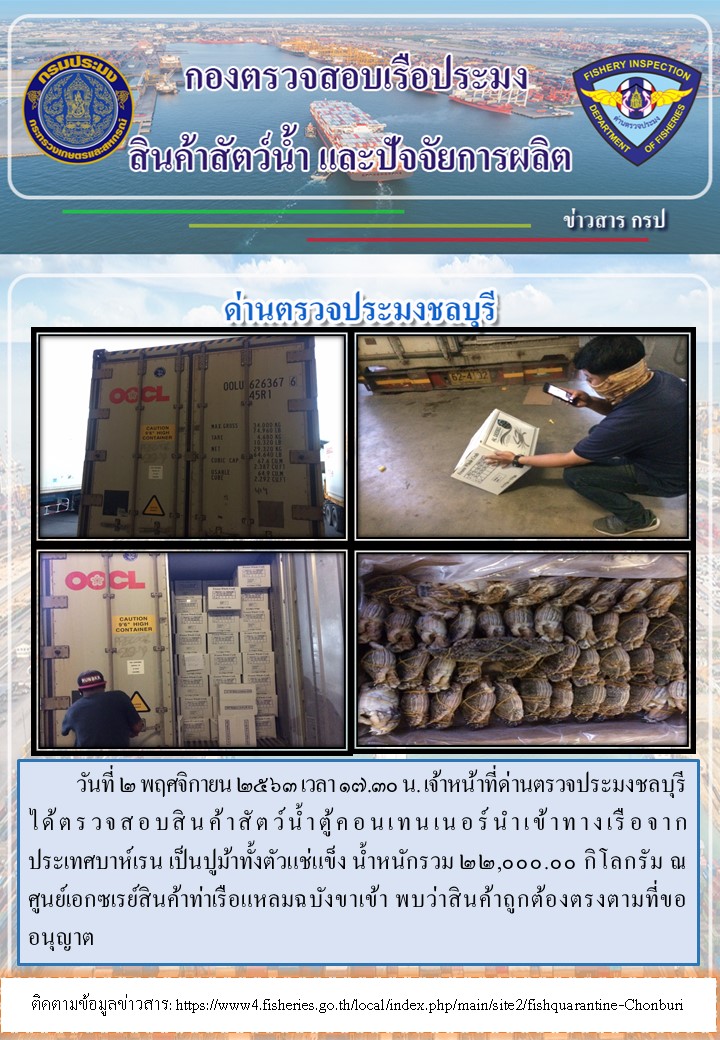 การปฏิบัติงานตรวจสอบสินค้าสัตว์น้ำตู้คอนเทรนเนอร์นำเข้าทางเรือประจำวันที่ 2 พฤศจิกายน 2563..คลิก