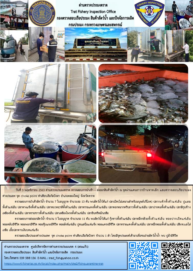 วันที่ 3 พฤศจิกายน 2563 ด่านตรวจประมงตราด ตรวจสอบการนำเข้า – ส่งออกสินค้าสัตว์น้ำ ณ จุดผ่านแดนถาวรบ้านหาดเล็ก  ตรวจสอบเรือประมงต่างประเทศ  จุด choke point ท่าเทียบเรือกัลปังหา อำเภอคลองใหญ่ จังหวัดตราด และ ตรวจสอบเรือประมงไทย ที่แจ้งเข้า - ออกผ่านระบบ Fishing info2 ร่วมกับชุดสหวิชาชีพ กรมเจ้าท่า กรมจัดหางาน กรมสวัสดิการ และคุ้มครองแผนงาน และล่ามภาษากัมพูชา เขตพื้นที่อำเภอคลองใหญ่ พื้นที่อำเภอเมืองและอำเภอแหลมงอบ จังหวัดตราด..คลิก