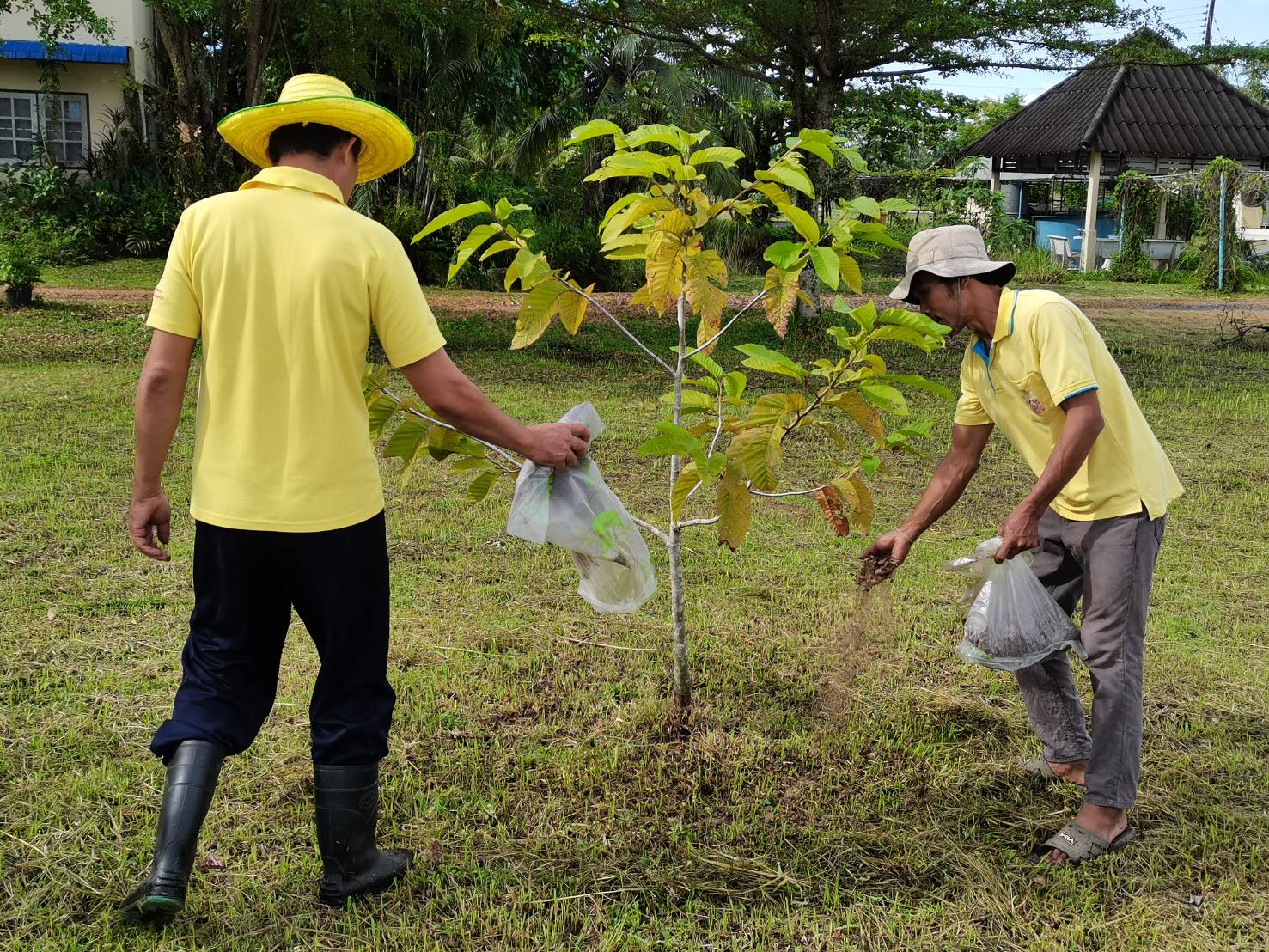 โครงการวันรักต้นไม้    ประจำปีของชาติ พ.ศ. 2563..คลิก